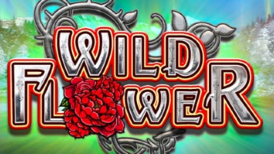 Wild Flower