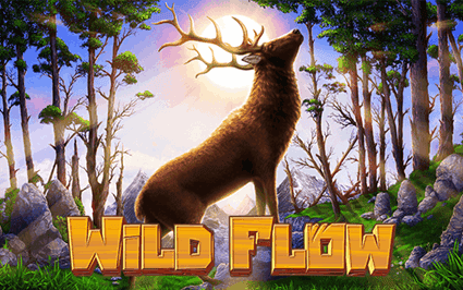 tsSGWildFlow_en.png